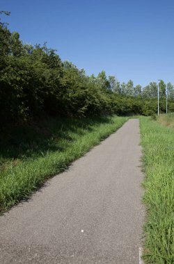İtalya kırsalında ağaçlarla ve tarlalarla çevrili bir yol.