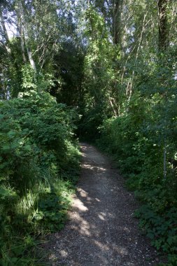 Gün batımında İtalya kırsalında bir parkta yol