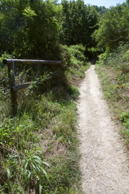 Gün batımında İtalya kırsalında bir parkta yol