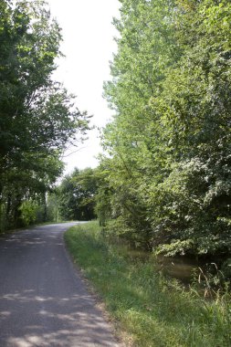 Gün batımında İtalya kırsalında bir parkta yol