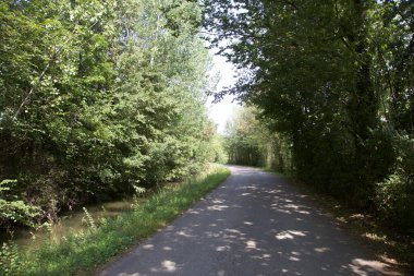 İtalya kırsalında ağaçlarla ve tarlalarla çevrili bir yol.