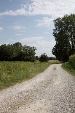 İtalya kırsalında ağaçlarla ve tarlalarla çevrili bir yol.