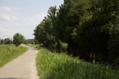 İtalya kırsalında ağaçlarla ve tarlalarla çevrili bir yol.
