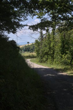 Gün batımında yamaçtaki parkta.