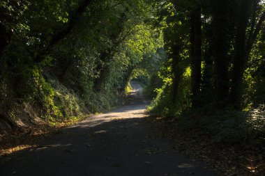 Gün batımında yamaçtaki parkta.