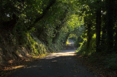 Gün batımında yamaçtaki parkta.