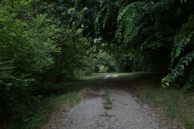 Gün batımında İtalya kırsalında bir parkta yol