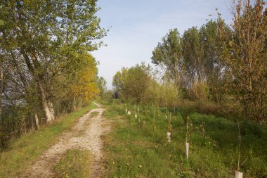 Gün batımında İtalya kırsalında bir parkta yol