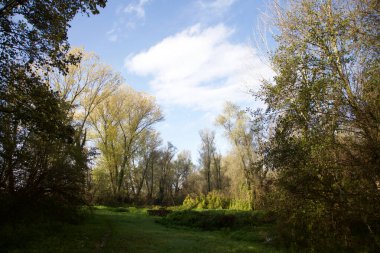 Gün batımında İtalya kırsalında bir parkta yol