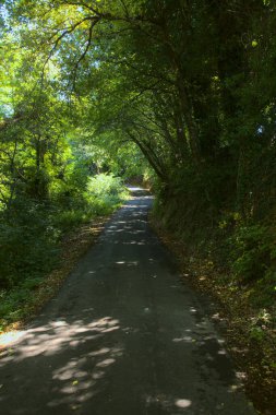 Gün batımında yamaçtaki parkta.