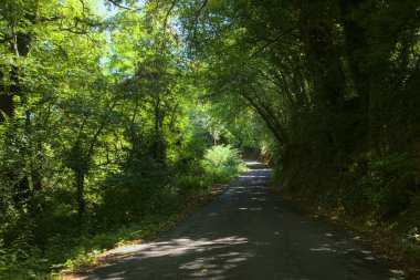 Gün batımında yamaçtaki parkta.