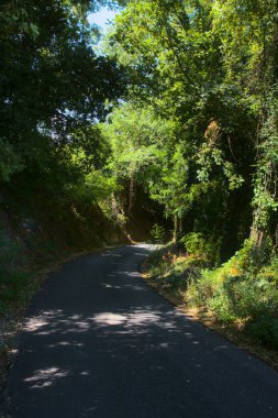 Gün batımında yamaçtaki parkta.