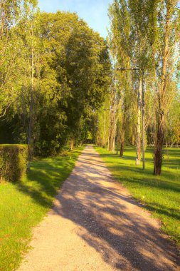 Gün batımında İtalya kırsalında bir parkta yol