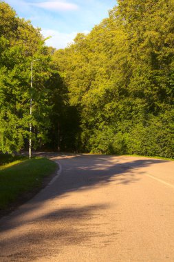 İtalya kırsalında ağaçlarla ve tarlalarla çevrili bir yol.