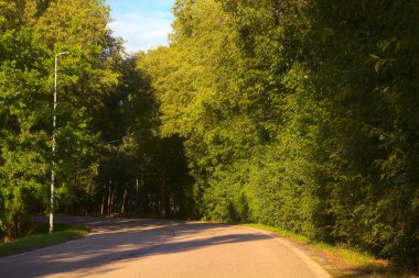 İtalya kırsalında ağaçlarla ve tarlalarla çevrili bir yol.