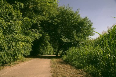 İtalya kırsalında ağaçlarla ve tarlalarla çevrili bir yol.