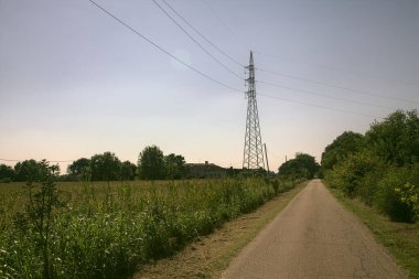 İtalya kırsalında ağaçlarla ve tarlalarla çevrili bir yol.