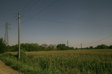 İtalya kırsalında ağaçlarla ve tarlalarla çevrili bir yol.