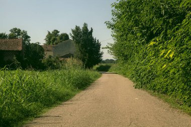 İtalya kırsalında ağaçlarla ve tarlalarla çevrili bir yol.