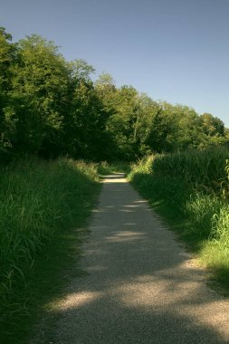 İtalya kırsalında ağaçlarla ve tarlalarla çevrili bir yol.