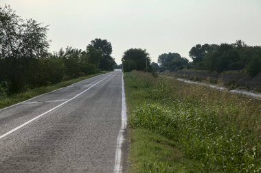 İtalya kırsalında ağaçlarla ve tarlalarla çevrili bir yol.
