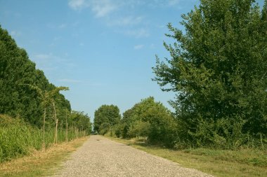 İtalya kırsalında ağaçlarla ve tarlalarla çevrili bir yol.