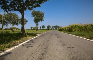 İtalya kırsalında ağaçlarla ve tarlalarla çevrili bir yol.