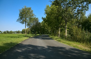 İtalya kırsalında ağaçlarla ve tarlalarla çevrili bir yol.