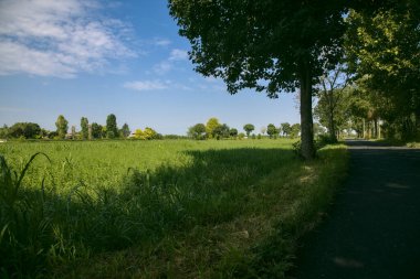 İtalya kırsalında ağaçlarla ve tarlalarla çevrili bir yol.