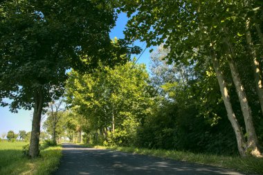 İtalya kırsalında ağaçlarla ve tarlalarla çevrili bir yol.