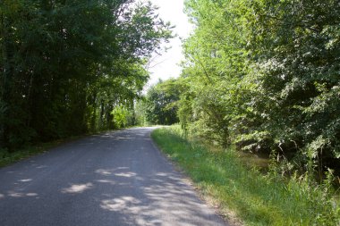 İtalya kırsalında ağaçlarla ve tarlalarla çevrili bir yol.