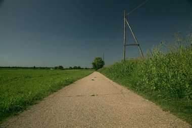 İtalya kırsalında ağaçlarla ve tarlalarla çevrili bir yol.