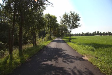 İtalya kırsalında ağaçlarla ve tarlalarla çevrili bir yol.