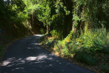 Gün batımında yamaçtaki parkta.