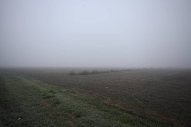 İtalya kırsalında sisli bir günde tarla ve bitkilerle dolu bir siper.