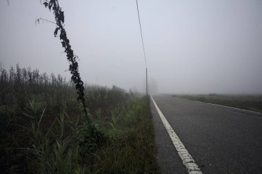 İtalya kırsalında sisli bir günde tarlaların yanında bir siper ve elektrik hattı ile çevrili bir yol.