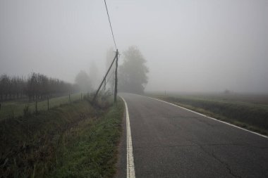 İtalya kırsalında sisli bir günde ağaçlarla kaplı tarlaların yanındaki yol.