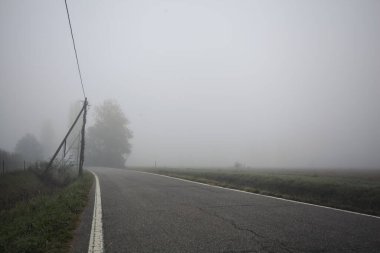 İtalya kırsalında sisli bir günde ağaçlarla kaplı tarlaların yanındaki yol.