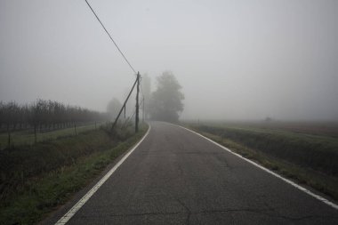 İtalya kırsalında sisli bir günde ağaçlarla kaplı tarlaların yanındaki yol.