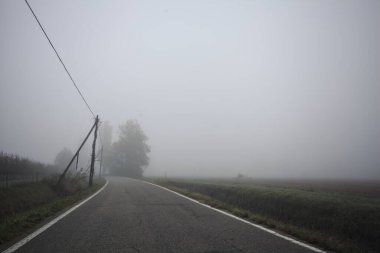 İtalya kırsalında sisli bir günde ağaçlarla kaplı tarlaların yanındaki yol.