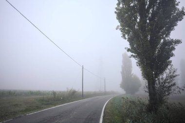 Sisli bir İtalyan kırsalında sisli bir günde birkaç ağaç ve siperle çevrili dar bir yol.