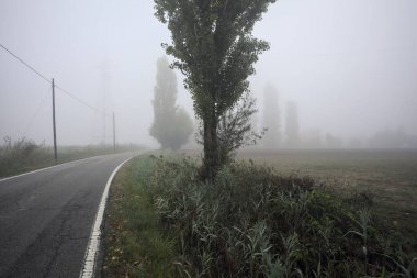 Sisli bir İtalyan kırsalında sisli bir günde birkaç ağaç ve siperle çevrili dar bir yol.