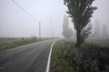 Sisli bir İtalyan kırsalında sisli bir günde birkaç ağaç ve siperle çevrili dar bir yol.