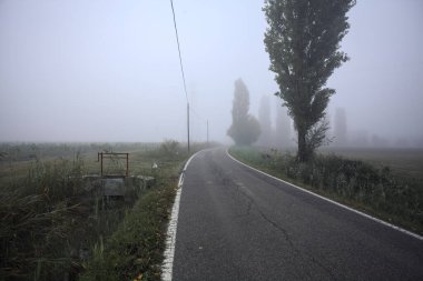 Sisli bir İtalyan kırsalında sisli bir günde birkaç ağaç ve siperle çevrili dar bir yol.