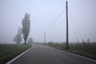 İtalya kırsalında sisli bir günde ağaçlarla kaplı tarlaların yanındaki yol.