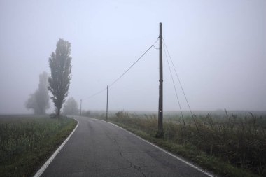 İtalya kırsalında sisli bir günde ağaçlarla kaplı tarlaların yanındaki yol.
