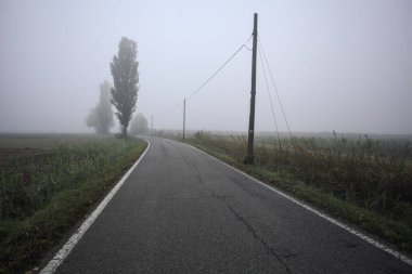 İtalya kırsalında sisli bir günde ağaçlarla kaplı tarlaların yanındaki yol.