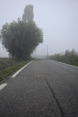 Sisli bir İtalyan kırsalında sisli bir günde birkaç ağaç ve siperle çevrili dar bir yol.