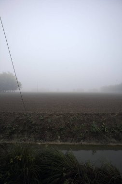 İtalya kırsalında sisli bir günde ağaçlarla çevrili tarlalar bir siperin arkasından görülüyor.