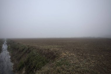 İtalya 'da sonbaharda sisli bir günde tarla arasında hendek kazmak